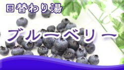 ブルーベリーの湯