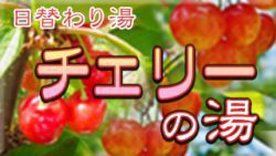 チェリーの湯