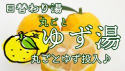 丸ごと柚子