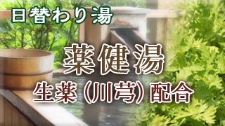 薬健湯(川芎)