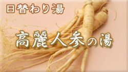 高麗人参の湯