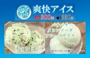 爽快アイス