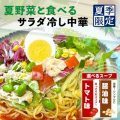 夏野菜と食べるサラダ冷し中華
