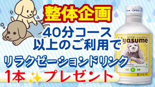 整体企画・リラクゼ―ションドリンクプレゼント