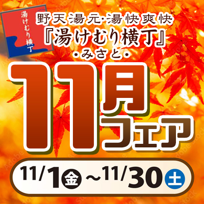 11月フェア-2024