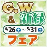 GW &新緑フェア