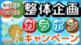 整体企画・ガラポン抽選