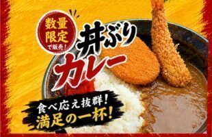 丼ぶりカレー