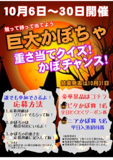 かぼちゃクイズ