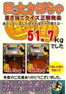 巨大かぼちゃ重さ当てクイズ　正解発表！