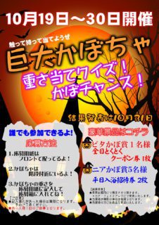 巨大かぼちゃ 重さ当てクイズ