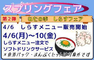 しらすフェア