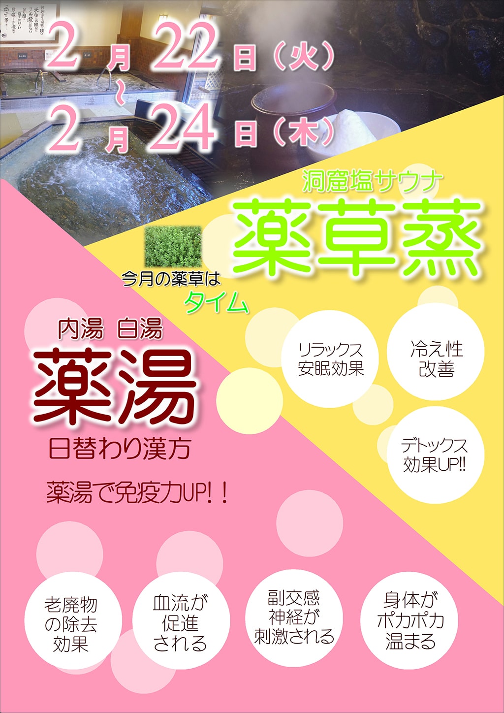 薬湯・薬草蒸サウナ