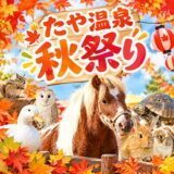 たや温泉秋祭り