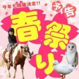 2026春祭り🌸開催予告！