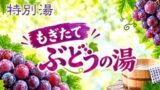ぶどうの湯