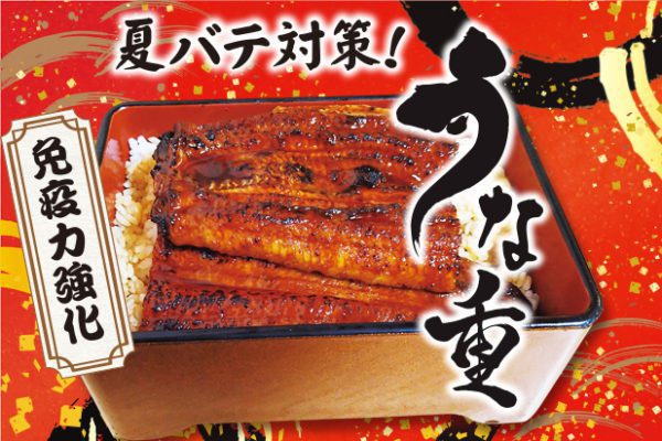 うな重
