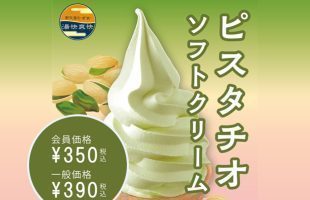 ピスタチオソフト