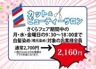 白髪染めキャンペーン