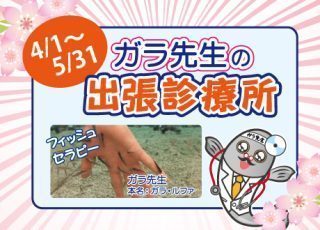 ガラ先生の出張診療所