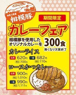 カレーフェア