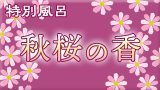 特別風呂・秋桜の香