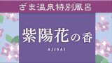 紫陽花の香