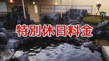 特別休日料金
